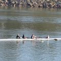 Women s Varsity 4 - Charleston stroke lost it
